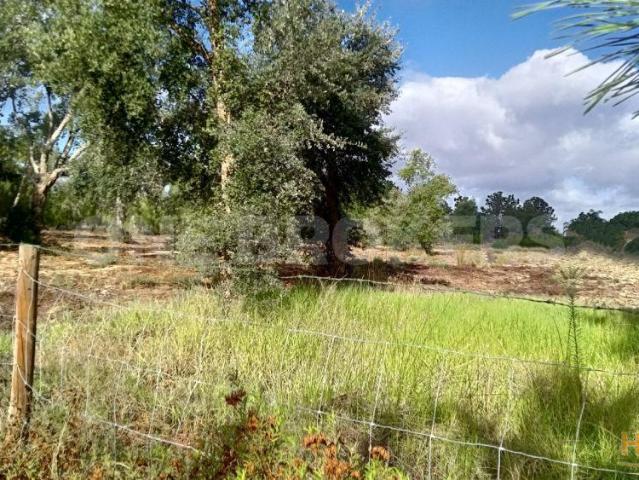 Terreno venda em Salvaterra De Magos, Santarém