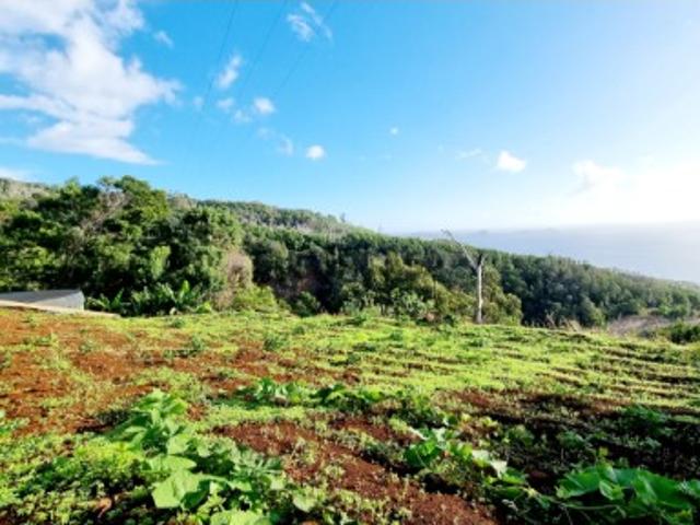 Terreno venda em Machico, Ilha Da Madeira
