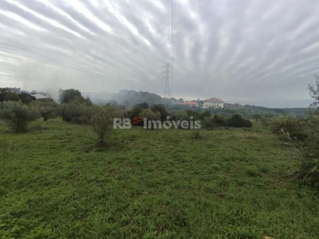 Terreno venda em Tomar, Santarém