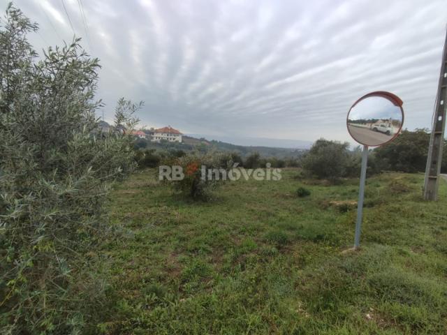 Terreno venda em Tomar, Santarém