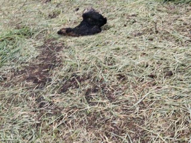 Terreno venda em Região Imediata de Santos, Região Metropolitana da Baixada Santista
