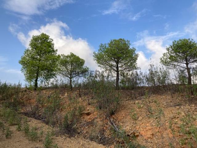 Terreno venda em Carvalhinhos, Castro Marim