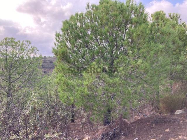 Terreno venda em Carvalhinhos, Castro Marim