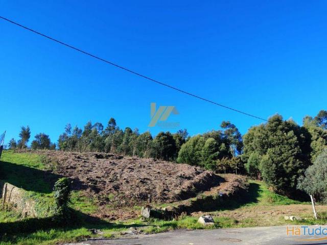 Terreno venda em Santa Maria Da Feira, Aveiro