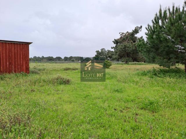 Terreno venda em Palmela