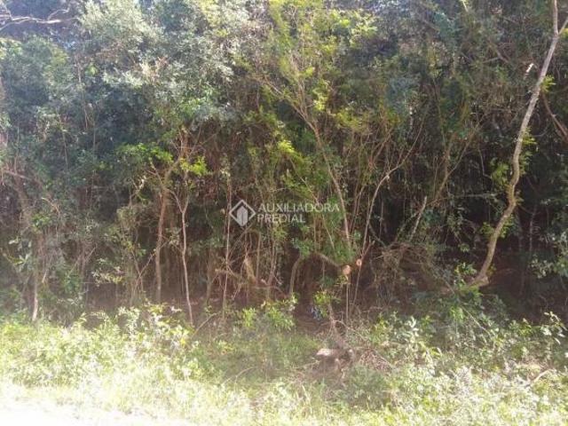 Terreno venda em Região Geográfica Imediata de Porto Alegre, Região Metropolitana de Porto Alegre
