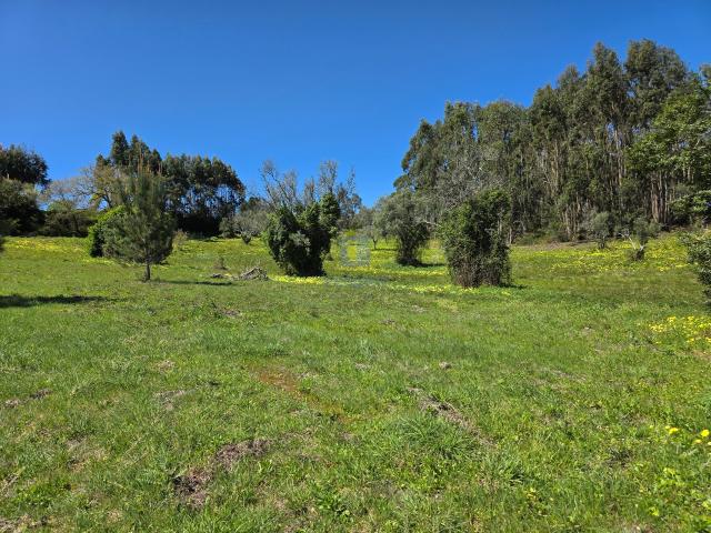 Terreno venda em Cadaval, Lisboa