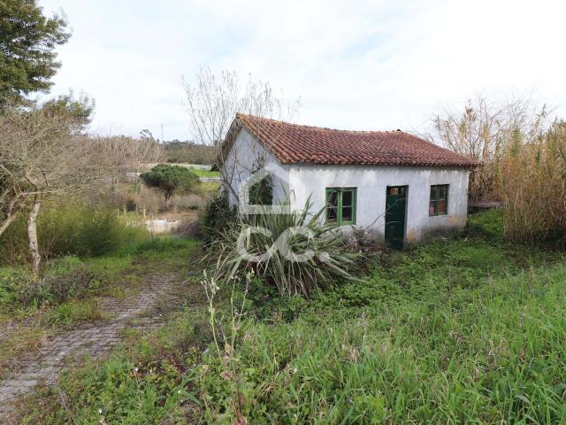 Terreno venda em São Martinho do Bispo e Ribeira de Frades, Coimbra