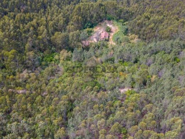Terreno venda em Monchique, Faro