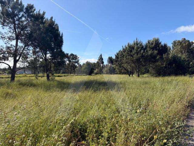 Terreno venda em Ponte De Vagos, Aveiro