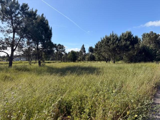 Terreno venda em Ponte De Vagos, Aveiro