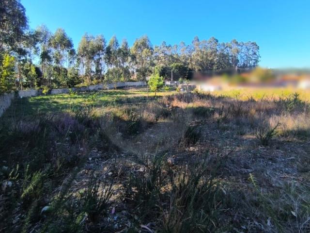 Terreno venda em Beiriz, Póvoa de Varzim