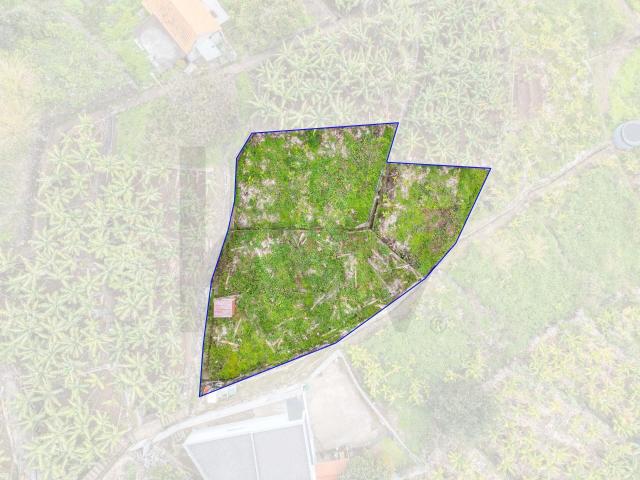 Terreno venda em Arco Da Calheta, Ilha Da Madeira