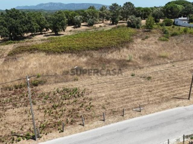 Terreno venda em Sesimbra (Castelo), Sesimbra