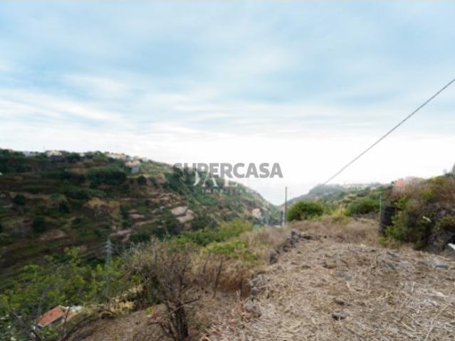 Terreno venda em Calheta