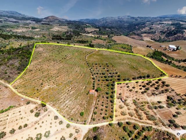 Terreno venda em Guedieiros, Sendim, Viseu