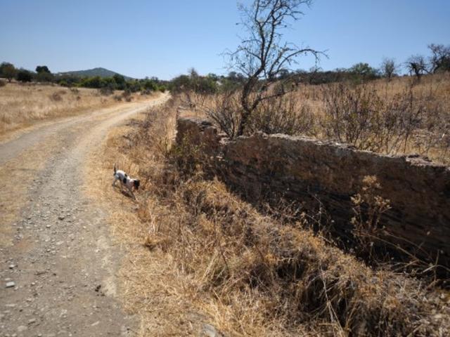 Terreno venda em Vascão, Faro