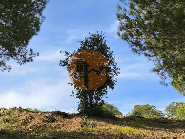 Terreno venda em Foz de Odeleite, Castro Marim
