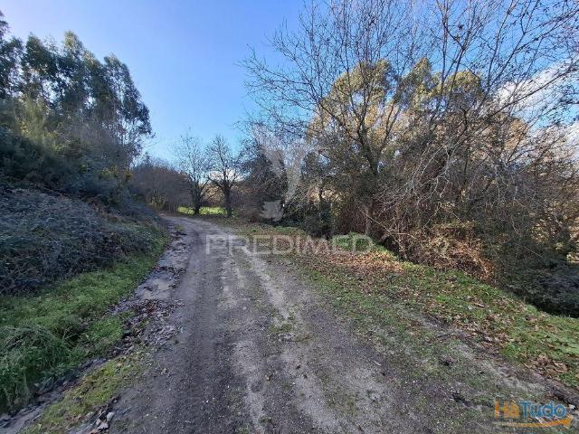 Terreno venda em Vila Verde, Braga