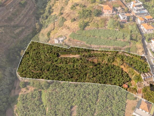Terreno venda em Ponta Do Sol, Ilha Da Madeira