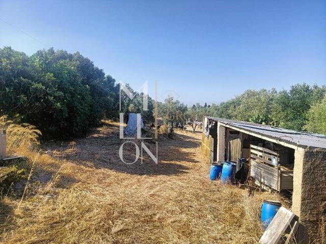 Terreno venda em Quinta de São Martinho, Cascais