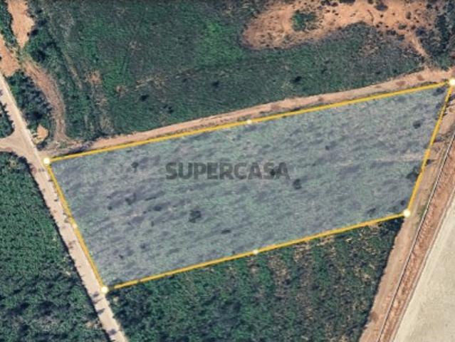 Terreno venda em Albergaria-a-velha, Aveiro