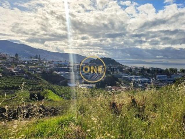 Terreno venda em Funchal, Amparo Terreno venda em Funchal, Amparo