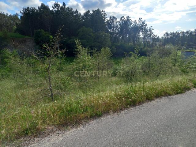 Terreno venda em Pombal, Almagreira