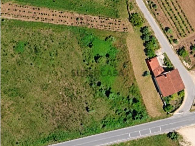 Terreno venda em Anadia, Aveiro