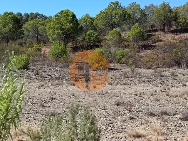Terreno venda em Galaxes, Vaqueiros