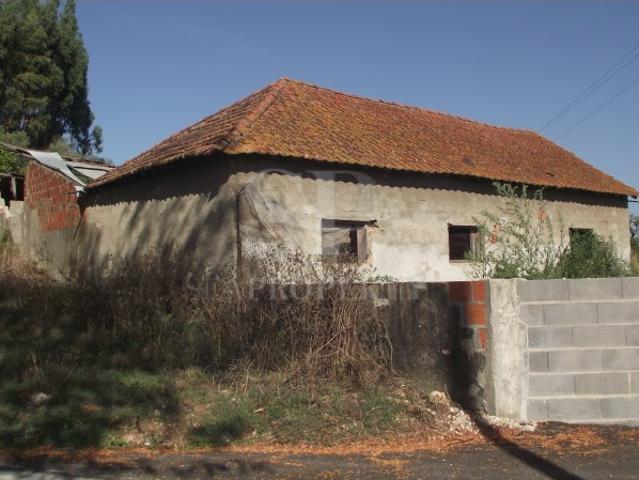 Terreno venda em Santarém