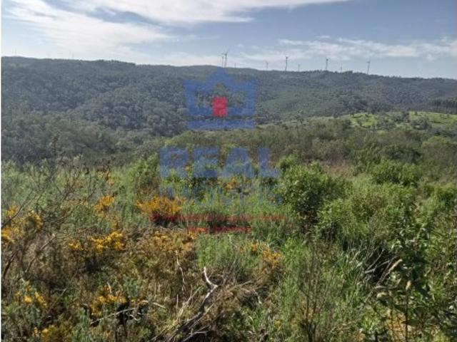 Terreno venda em Almodôvar, Beja