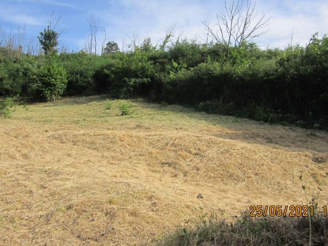 Terreno venda em Tondela e Nandufe, Tondela