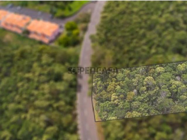 Terreno venda em Santa Cruz