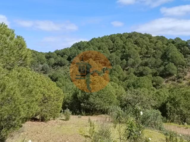 Terreno venda em Castro Marim, Faro