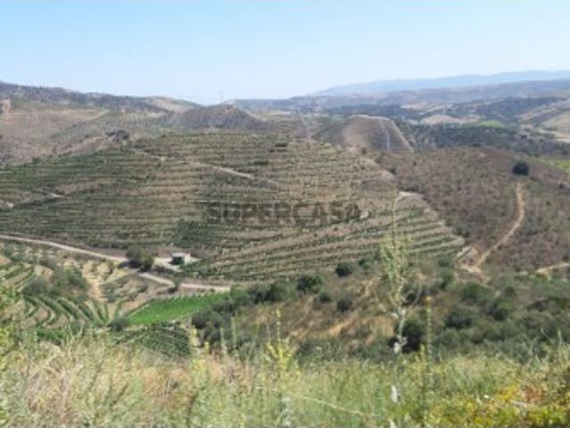 Terreno venda em Guarda, Meda