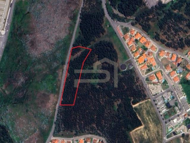 Terreno venda em Corrulho, Vila Nova de Famalicão