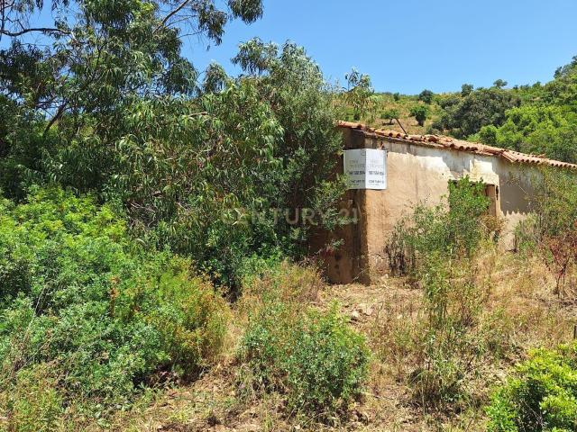 Terreno venda em São Bartolomeu De Messines, Faro