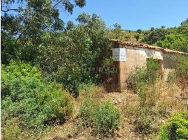 Terreno venda em São Bartolomeu de Messines, Faro