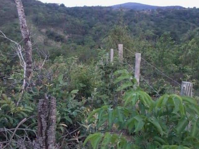 Terreno venda em Região Geográfica Imediata de Belo Horizonte, Região Metropolitana de Belo Horizonte