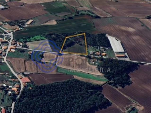 Terreno venda em Junqueira, Vila Do Conde