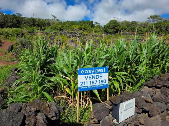 Terreno venda em Açores, Madalena