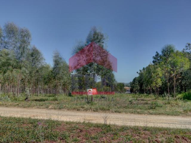 Terreno venda em Columbeira, Bombarral