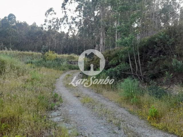 Terreno venda em Bougado (São Martinho e Santiago), Trofa