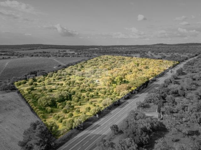 Terreno venda em Montemor-o-novo, Évora