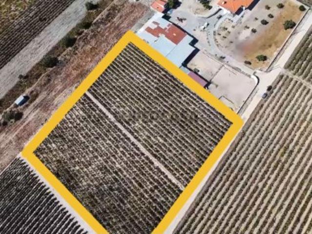Terreno venda em Palmela, Setúbal