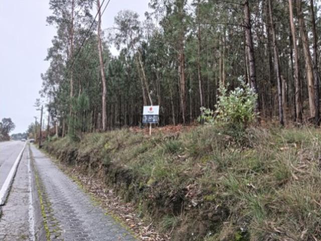 Terreno venda em Aveiro