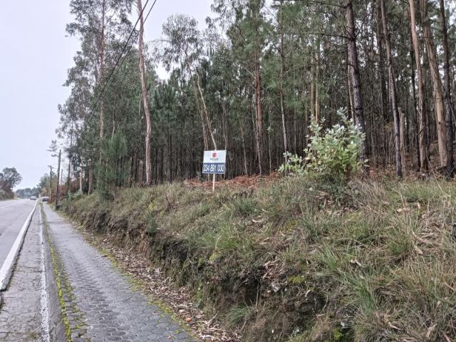 Terreno venda em Aveiro