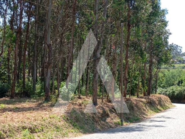 Terreno venda em Guilhufe e Urrô, Marecos