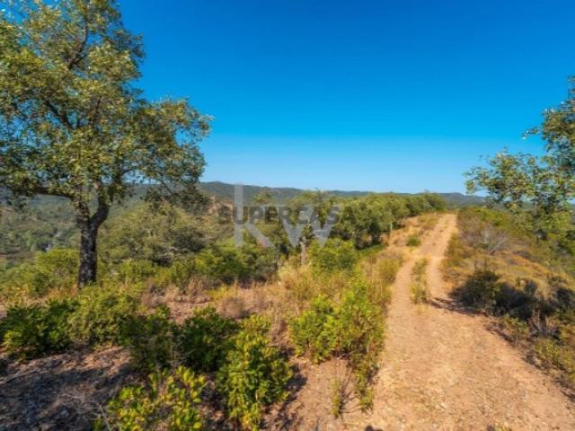 Terreno venda em Loulé, Faro